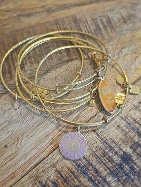 Alex and Ani Gold Tone Stackable Charm Bangle Set of 5